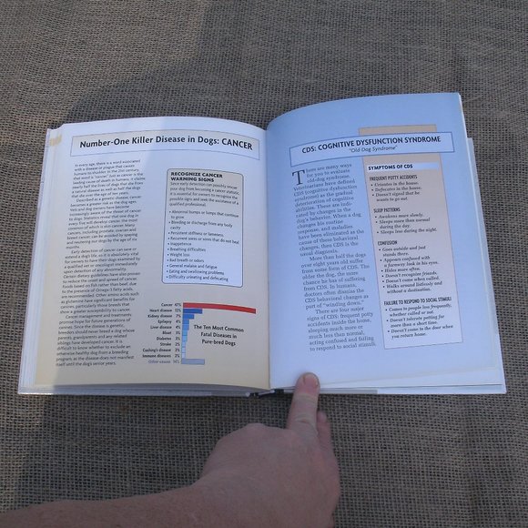 Weimaraner A Comprehensive Guide Dog Book - Picture 13 of 16